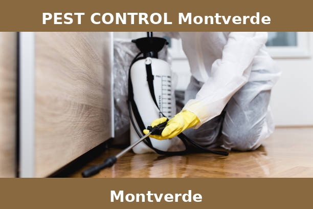 PEST CONTROL Montverde